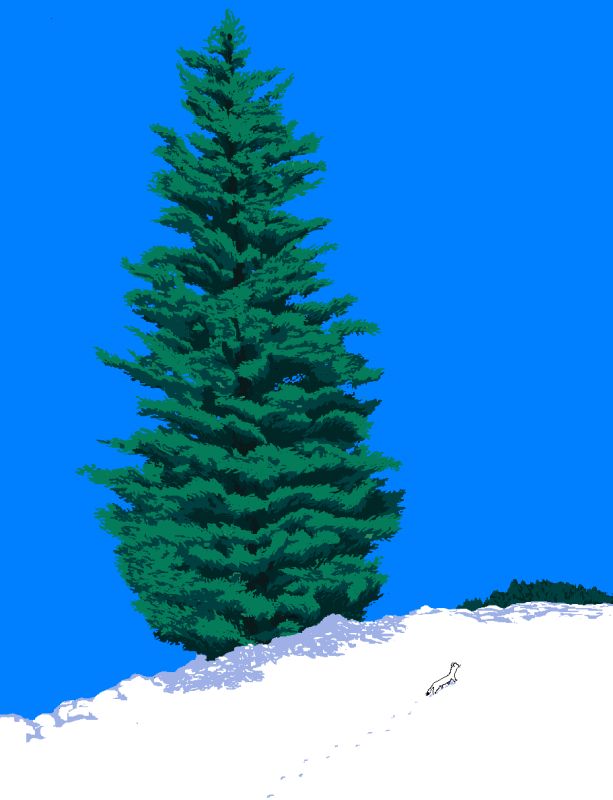  - David Stora - illustrateurs-jeunesse