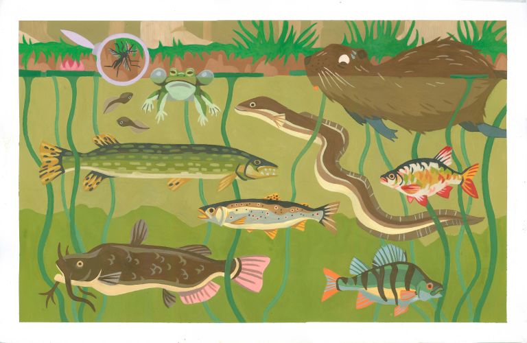  - Margot Poupet - illustrateurs-jeunesse