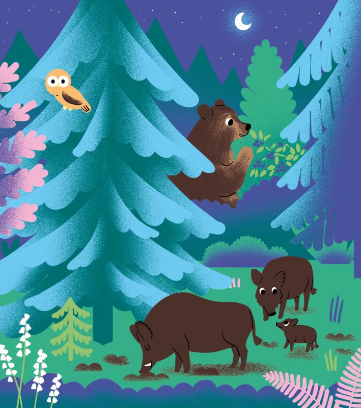  - aurélie abolivier - illustrateurs-jeunesse