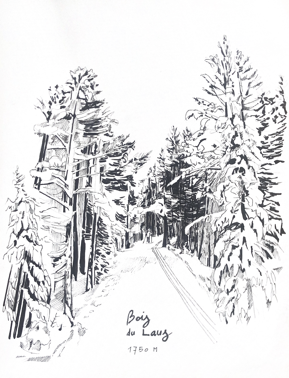 illustration Illustration de la forêt enneigée du Bois du Lauz