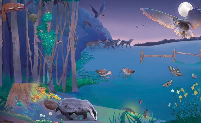  - estelle rattier - illustrateurs-jeunesse