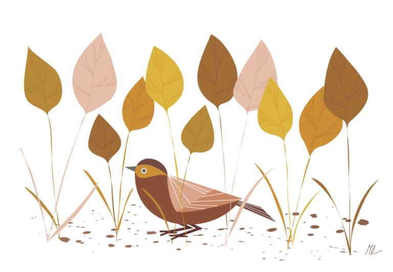  - melissa pigois - illustrateurs-jeunesse