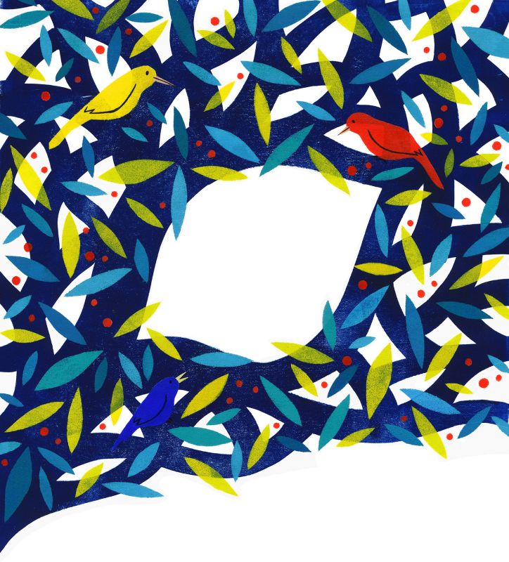 Ola l'arbre - perrine boyer - illustrateurs-jeunesse