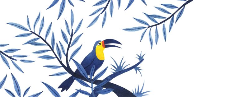 Feliz 2024 - perrine boyer - illustrateurs-jeunesse