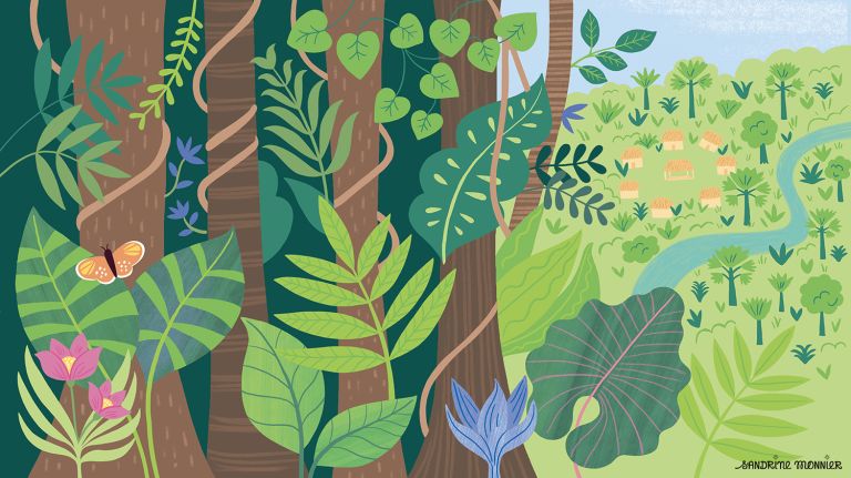illustration01_ForetAmazonniene.jpg - sandrine monnier - illustrateurs-jeunesse