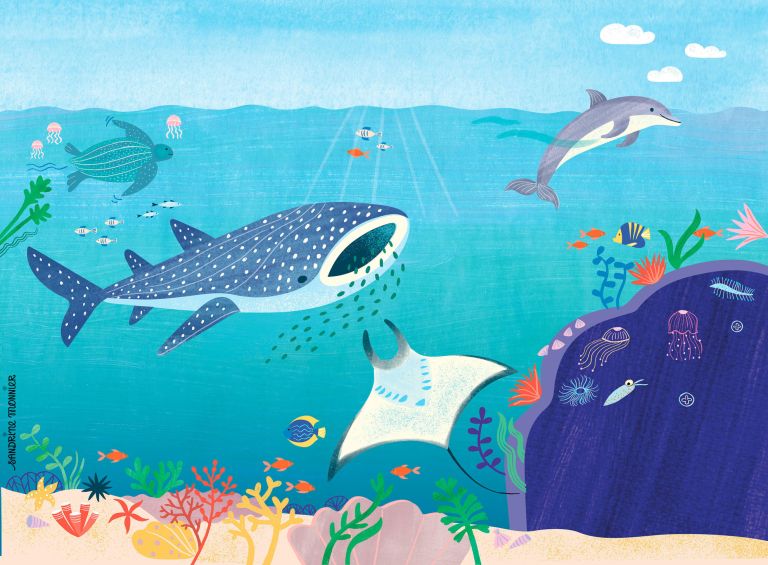 Magazine Petit Quotidien - numéro spécial Naussicaa - sandrine monnier - illustrateurs-jeunesse