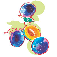 Veronica Dall'Antonia - illustrateurs-jeunesse